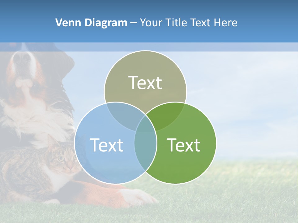 Cute Puppy Spring PowerPoint Template