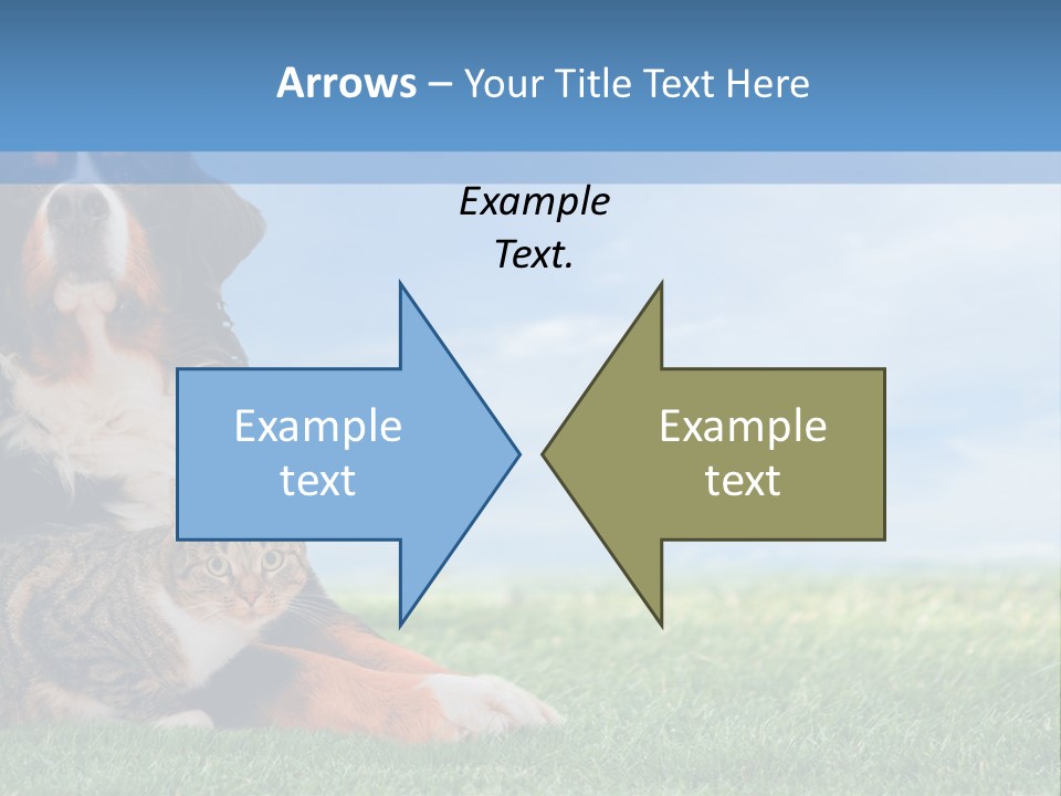 Cute Puppy Spring PowerPoint Template