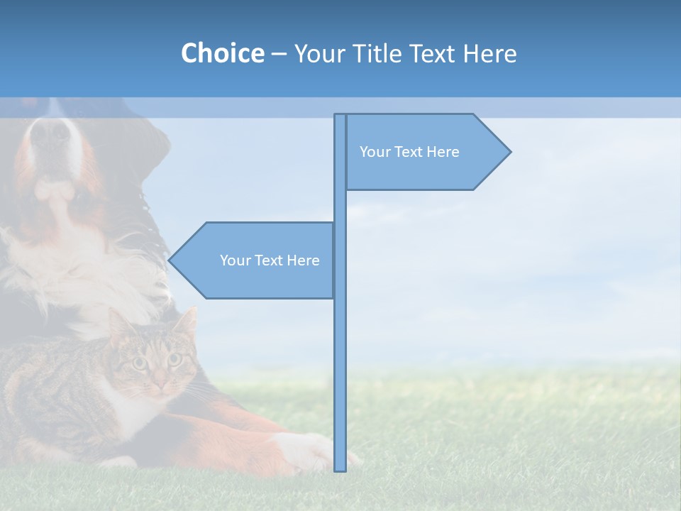 Cute Puppy Spring PowerPoint Template