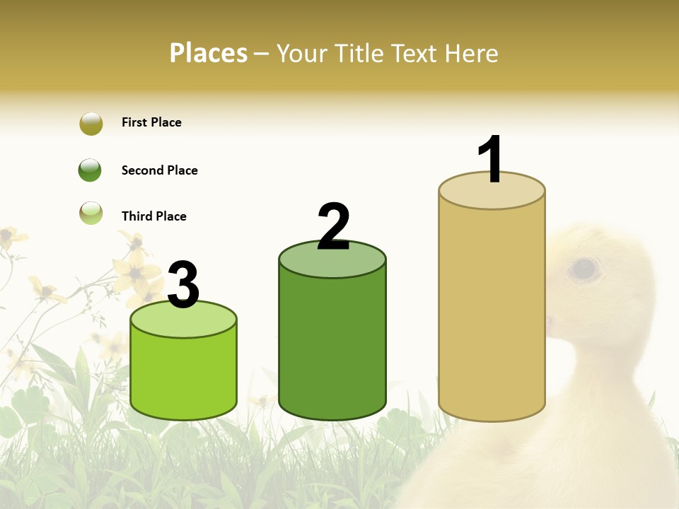 Environment Colorful Scenic PowerPoint Template