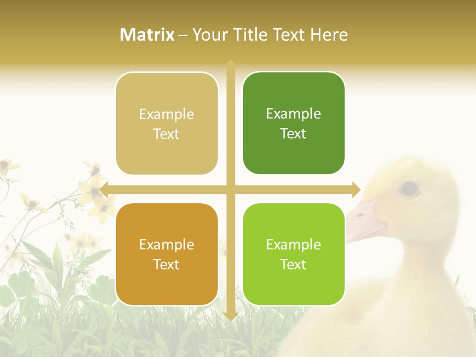 Environment Colorful Scenic PowerPoint Template