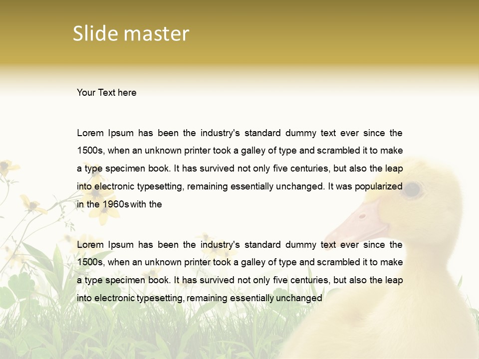 Environment Colorful Scenic PowerPoint Template