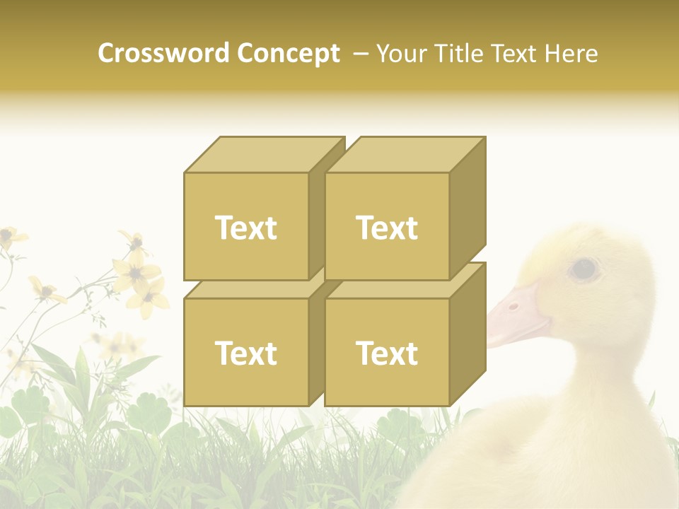 Environment Colorful Scenic PowerPoint Template