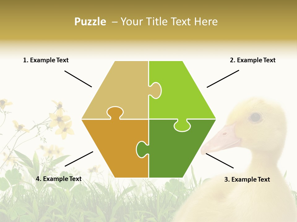 Environment Colorful Scenic PowerPoint Template