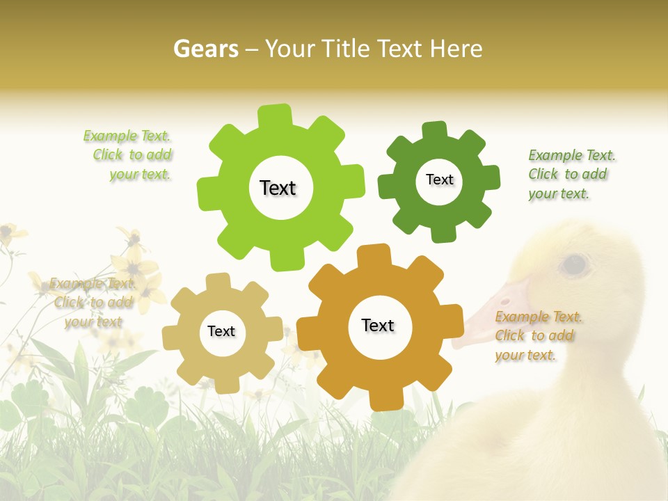 Environment Colorful Scenic PowerPoint Template