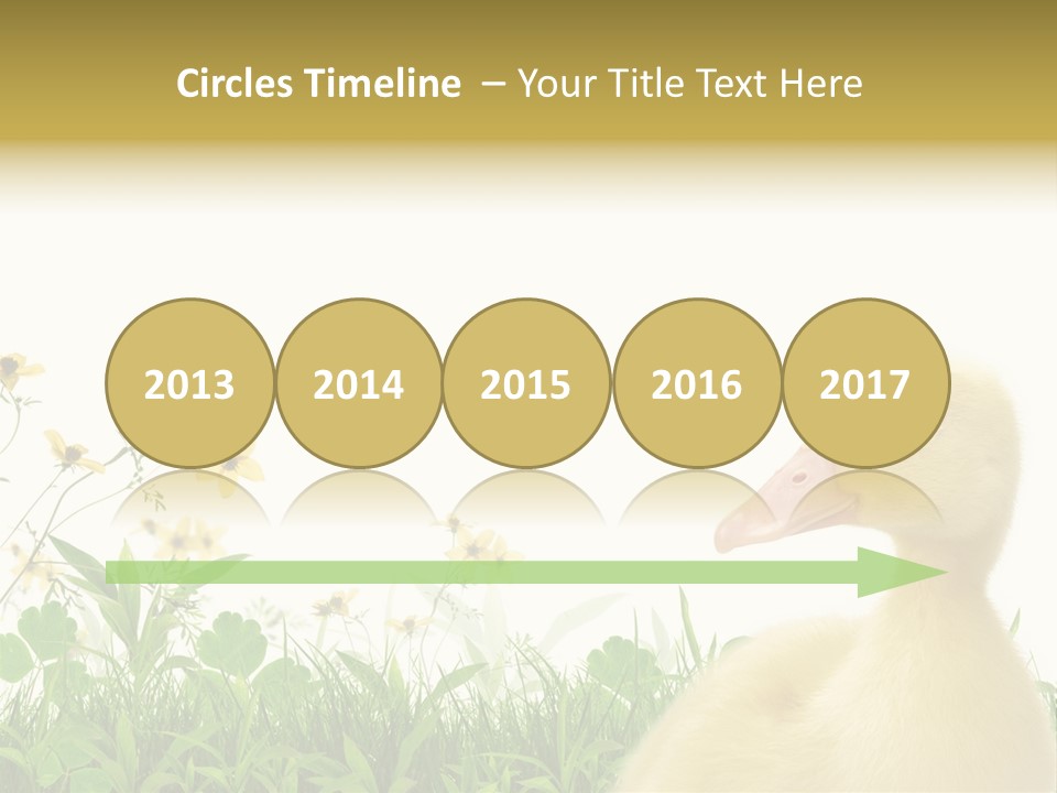 Environment Colorful Scenic PowerPoint Template