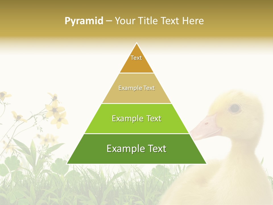 Environment Colorful Scenic PowerPoint Template