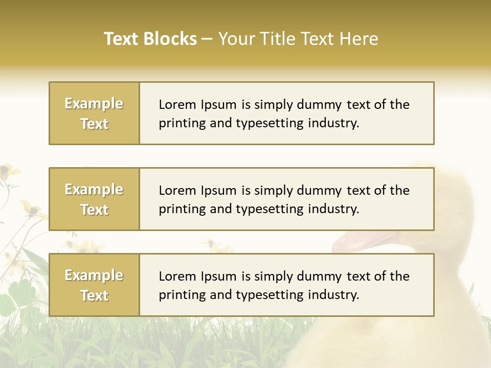 Environment Colorful Scenic PowerPoint Template