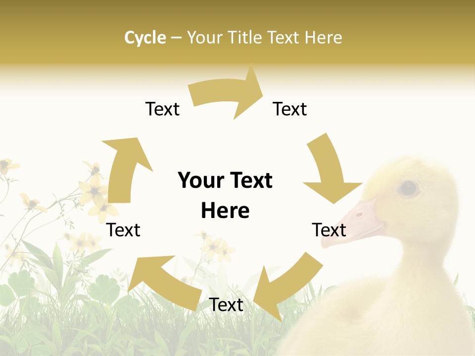 Environment Colorful Scenic PowerPoint Template