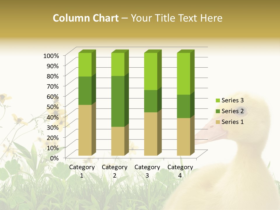 Environment Colorful Scenic PowerPoint Template