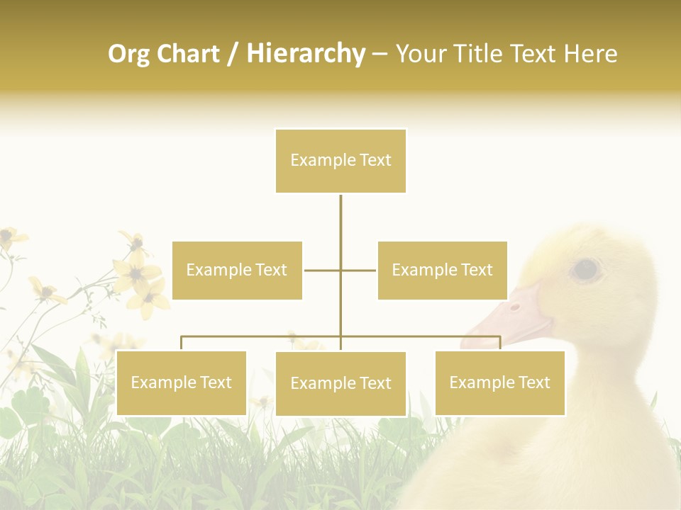 Environment Colorful Scenic PowerPoint Template