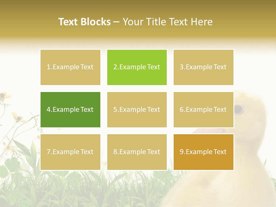 Environment Colorful Scenic PowerPoint Template