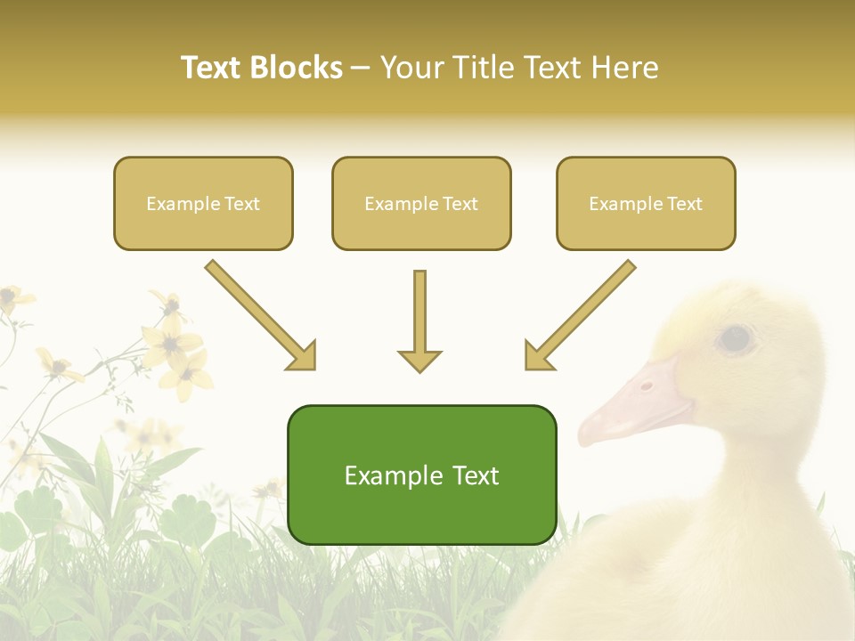 Environment Colorful Scenic PowerPoint Template