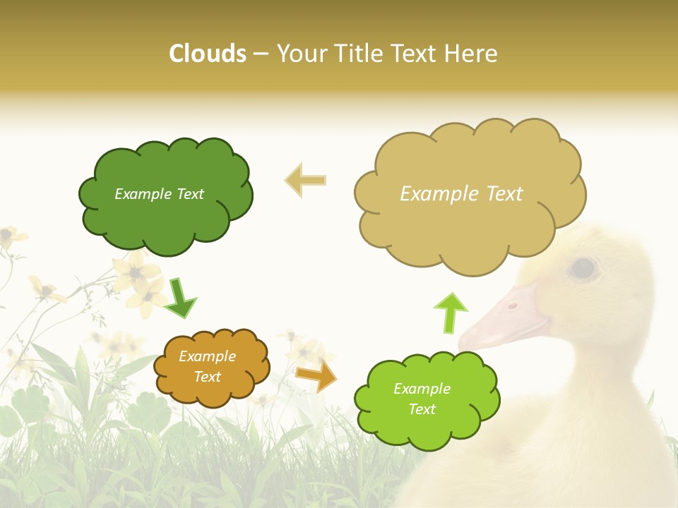 Environment Colorful Scenic PowerPoint Template