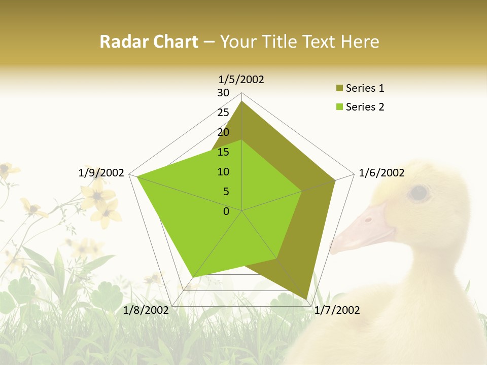 Environment Colorful Scenic PowerPoint Template