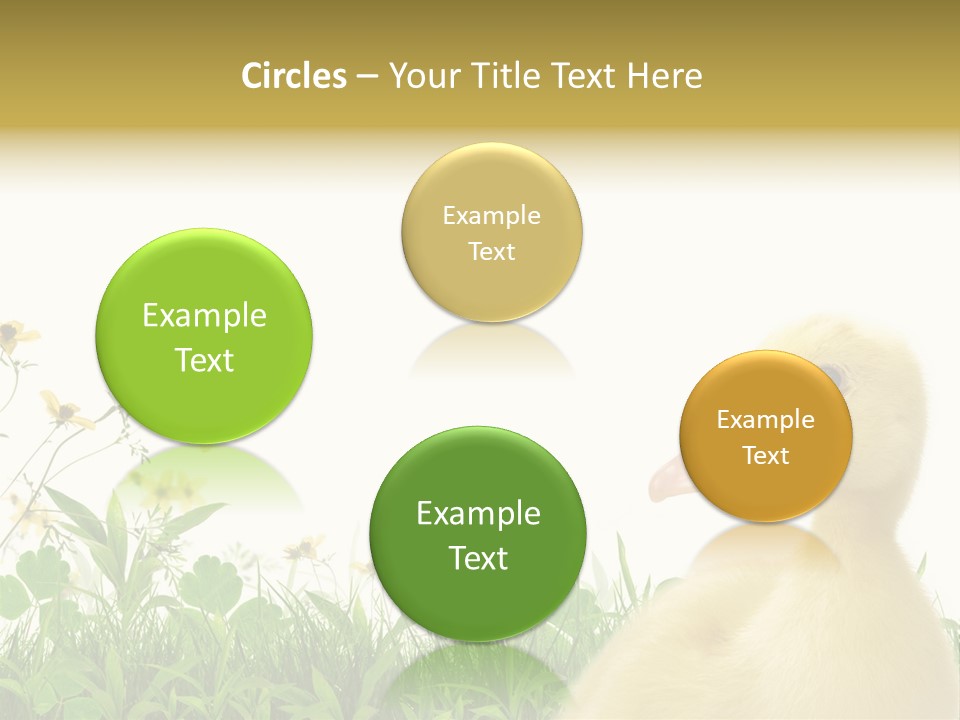 Environment Colorful Scenic PowerPoint Template