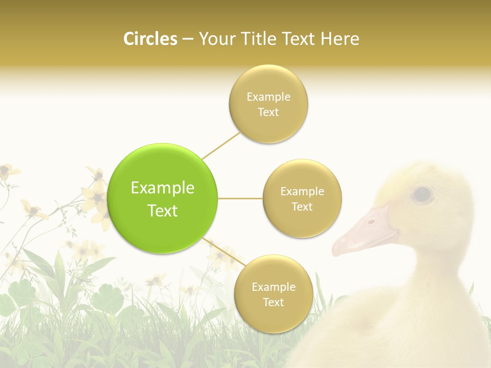 Environment Colorful Scenic PowerPoint Template