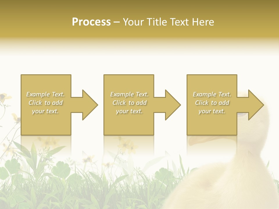 Environment Colorful Scenic PowerPoint Template