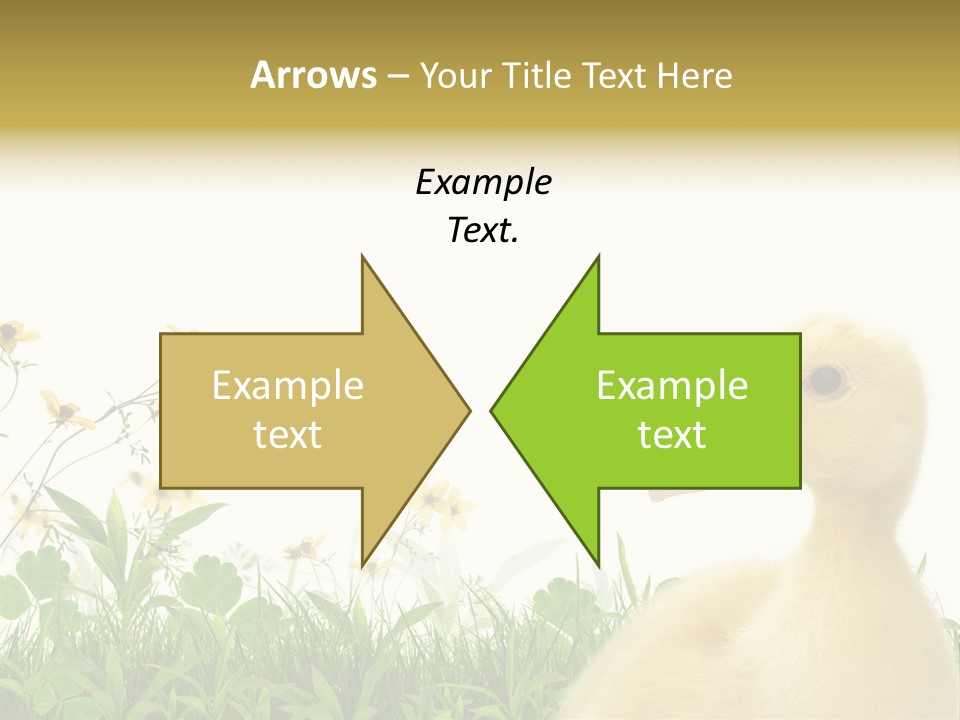 Environment Colorful Scenic PowerPoint Template