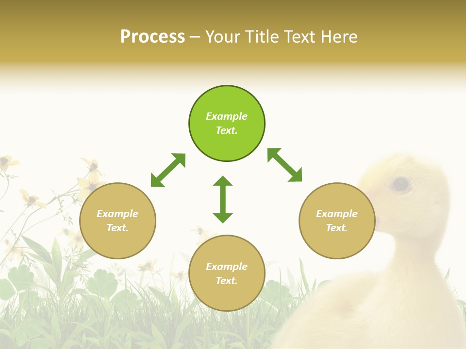 Environment Colorful Scenic PowerPoint Template