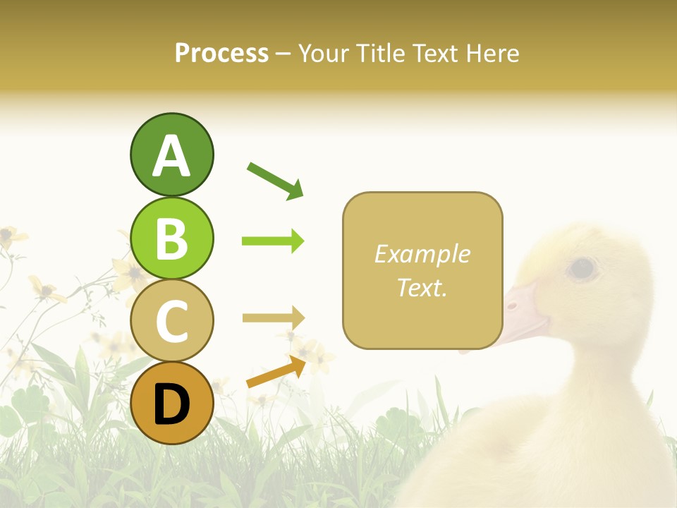 Environment Colorful Scenic PowerPoint Template