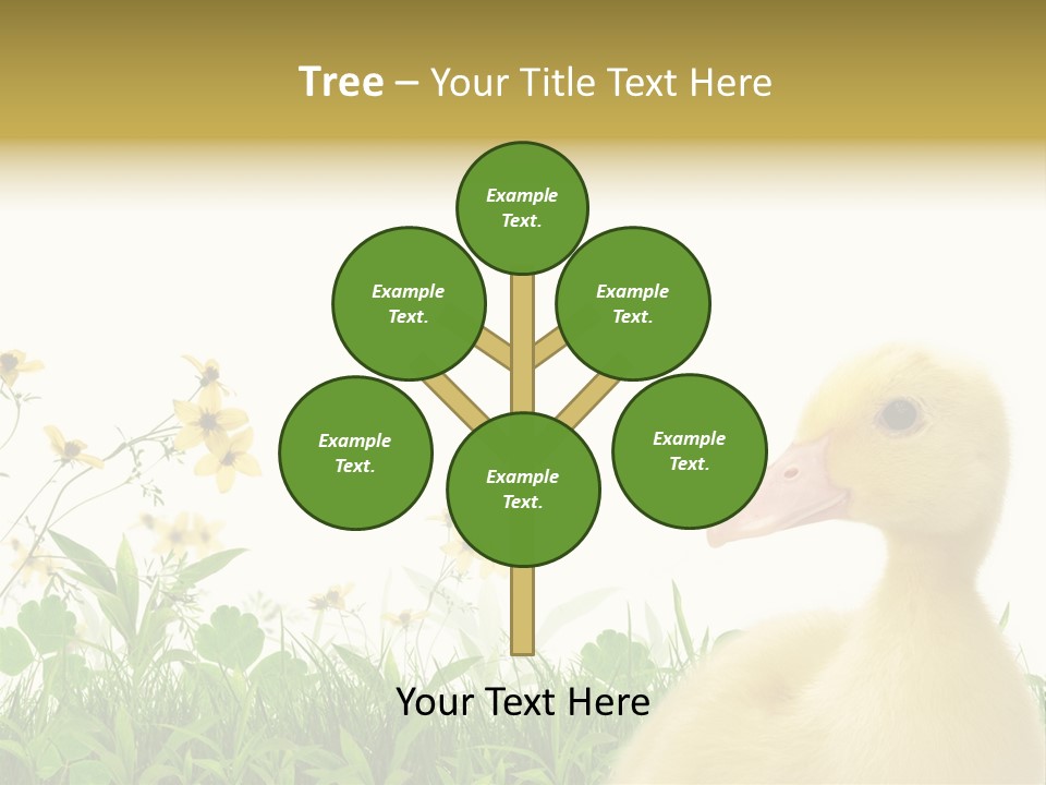 Environment Colorful Scenic PowerPoint Template