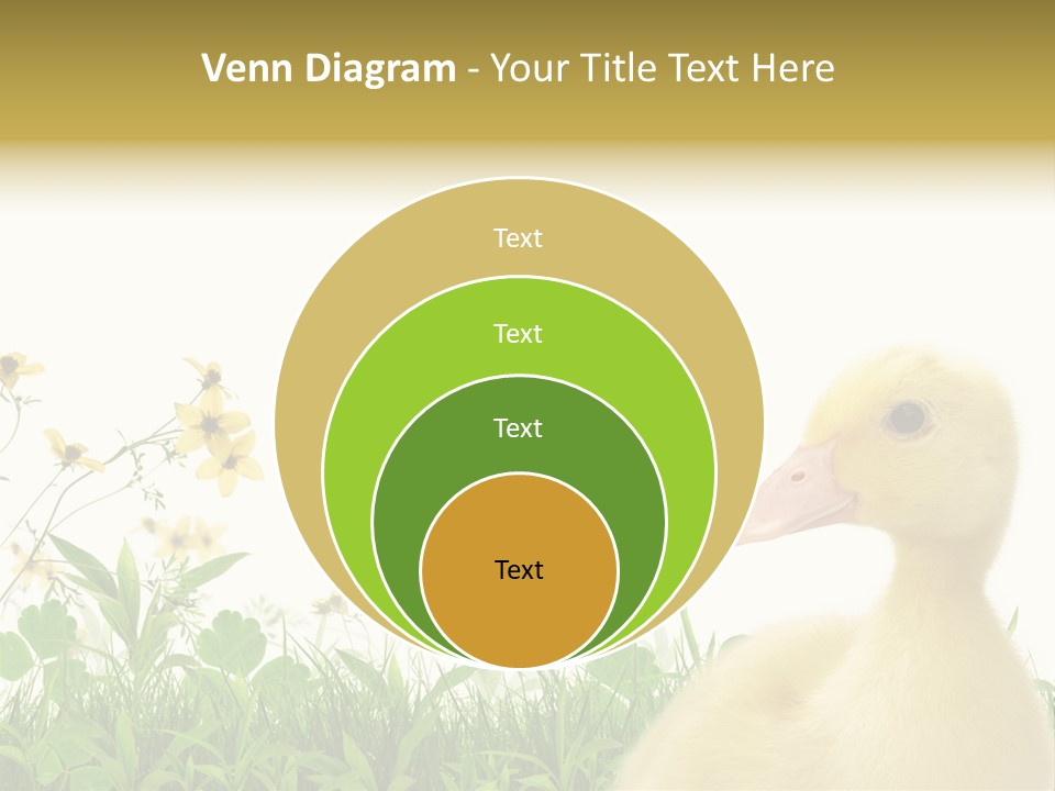 Environment Colorful Scenic PowerPoint Template