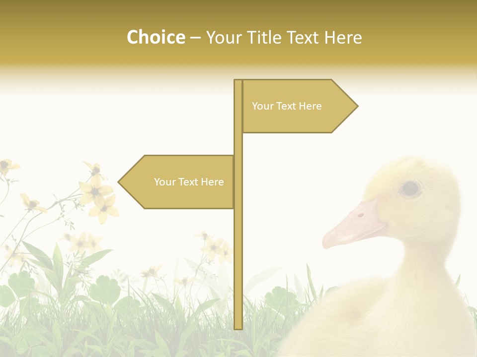 Environment Colorful Scenic PowerPoint Template