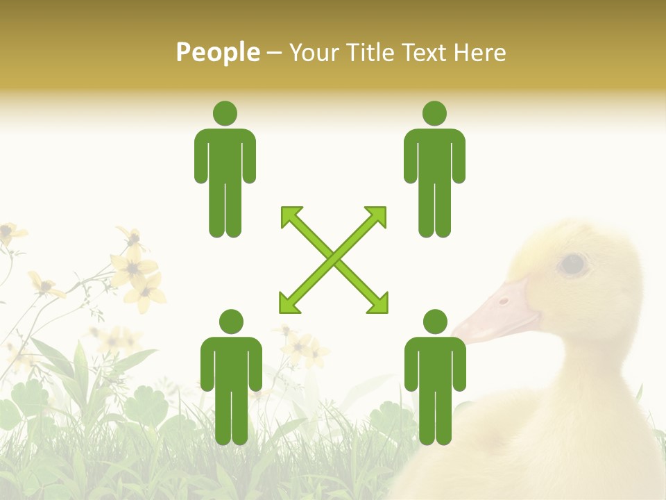 Environment Colorful Scenic PowerPoint Template