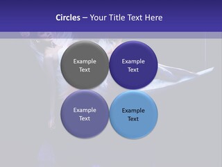 Elegance Sexy Young PowerPoint Template