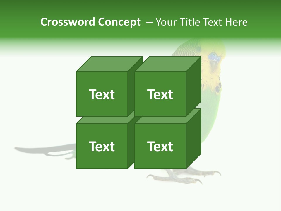 Beak Backgrounds Pets PowerPoint Template