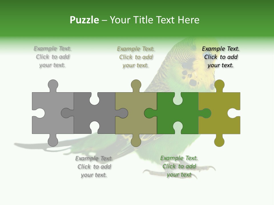 Beak Backgrounds Pets PowerPoint Template