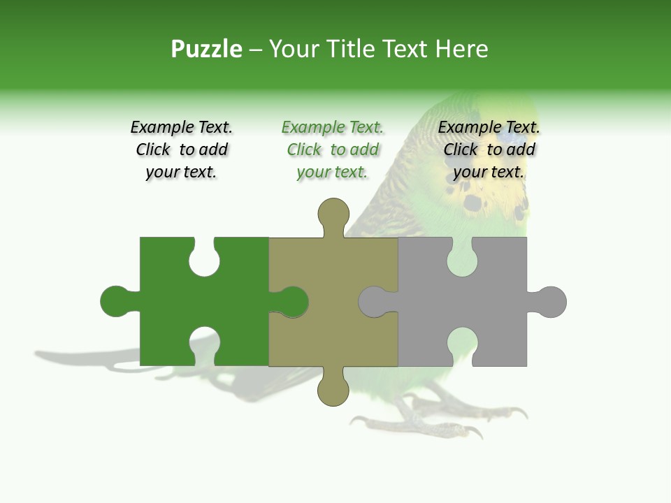 Beak Backgrounds Pets PowerPoint Template