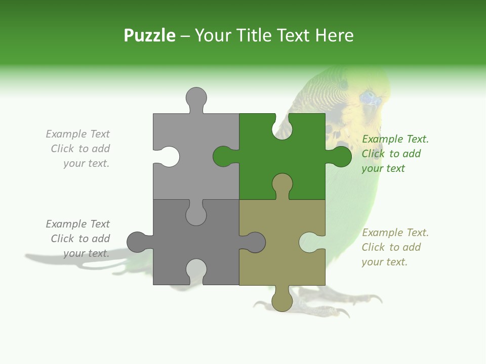 Beak Backgrounds Pets PowerPoint Template