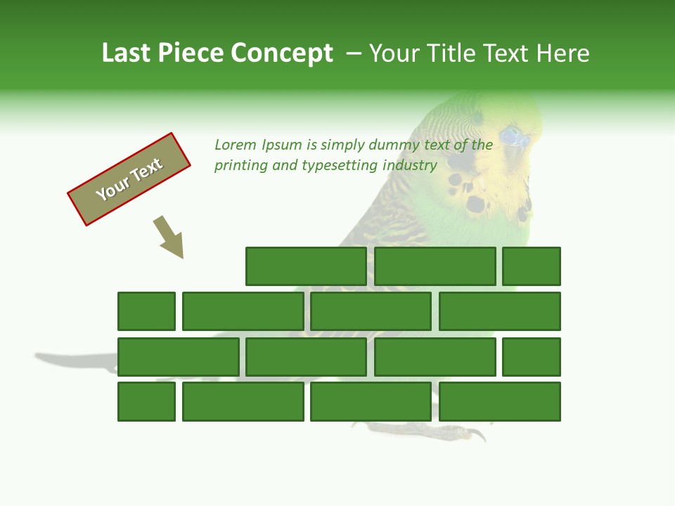 Beak Backgrounds Pets PowerPoint Template