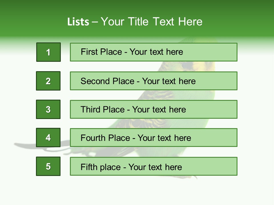 Beak Backgrounds Pets PowerPoint Template