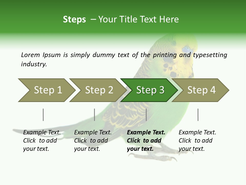 Beak Backgrounds Pets PowerPoint Template