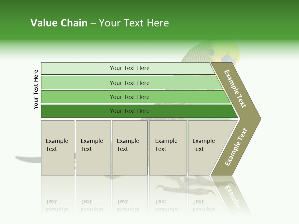 Beak Backgrounds Pets PowerPoint Template