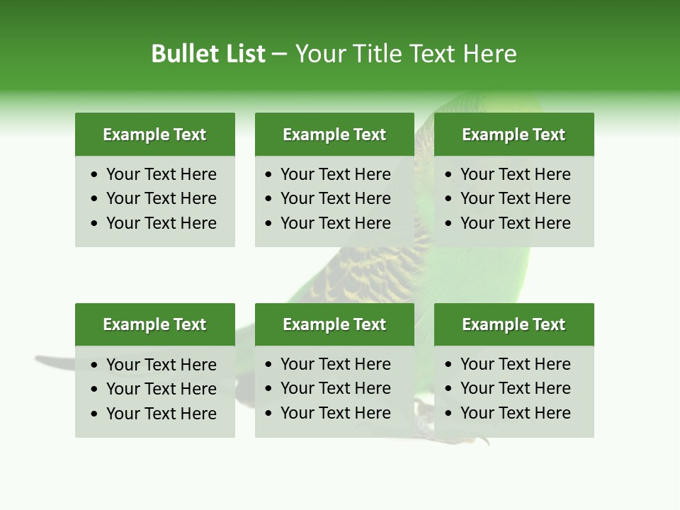 Beak Backgrounds Pets PowerPoint Template