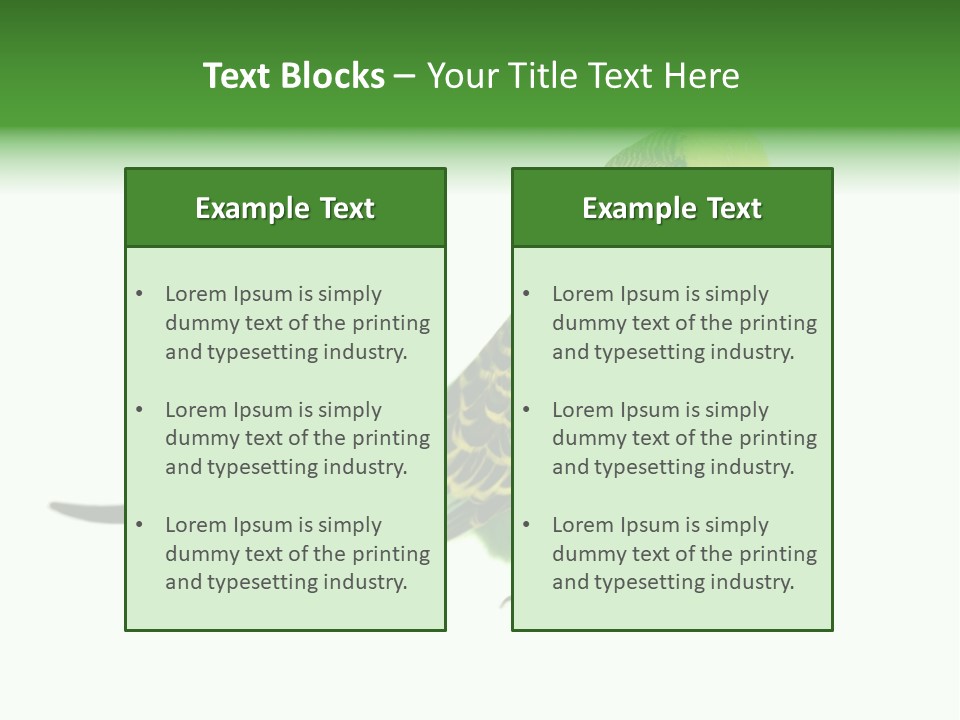 Beak Backgrounds Pets PowerPoint Template