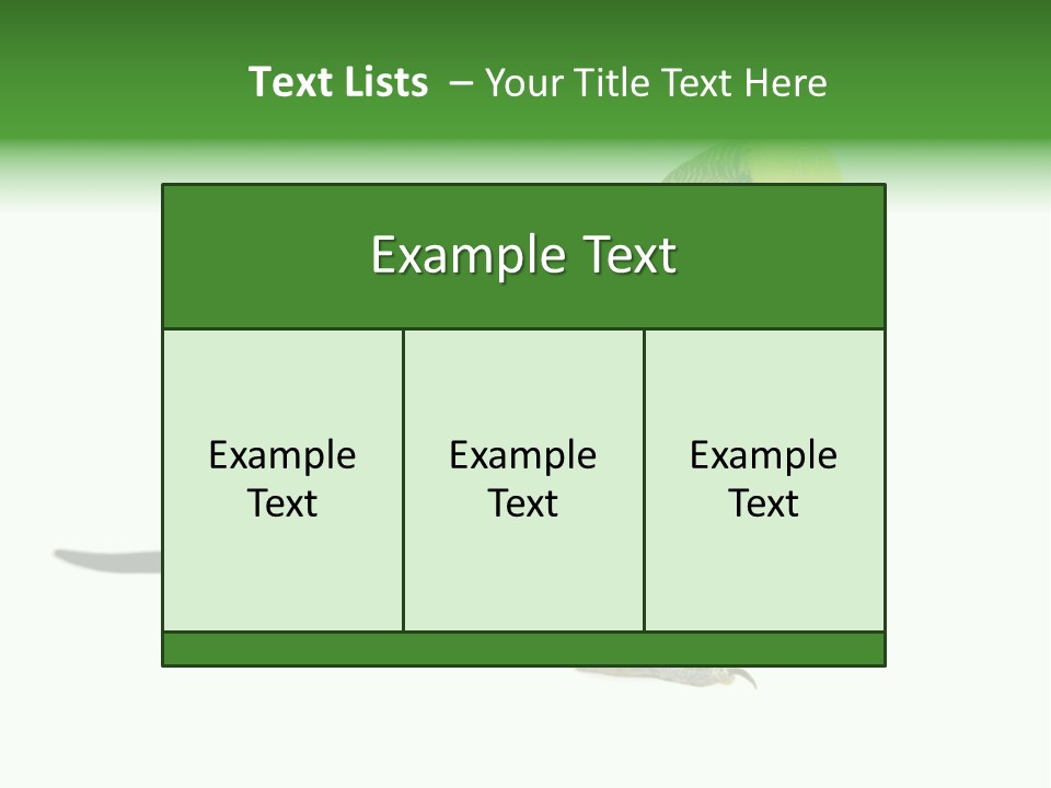 Beak Backgrounds Pets PowerPoint Template