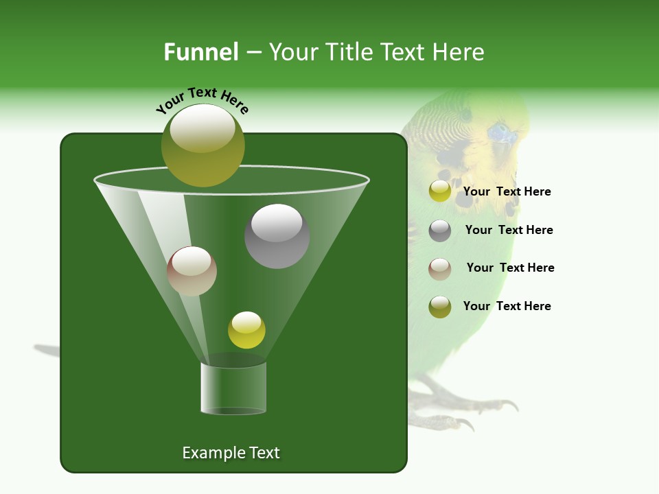 Beak Backgrounds Pets PowerPoint Template