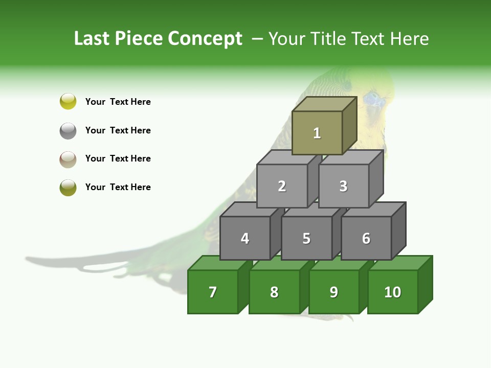 Beak Backgrounds Pets PowerPoint Template