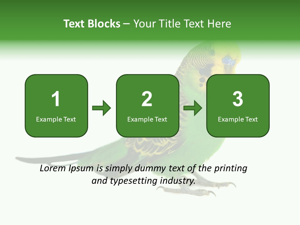 Beak Backgrounds Pets PowerPoint Template