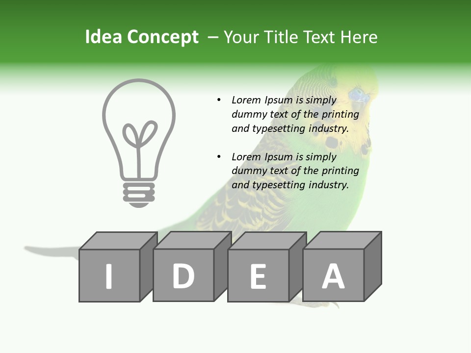 Beak Backgrounds Pets PowerPoint Template