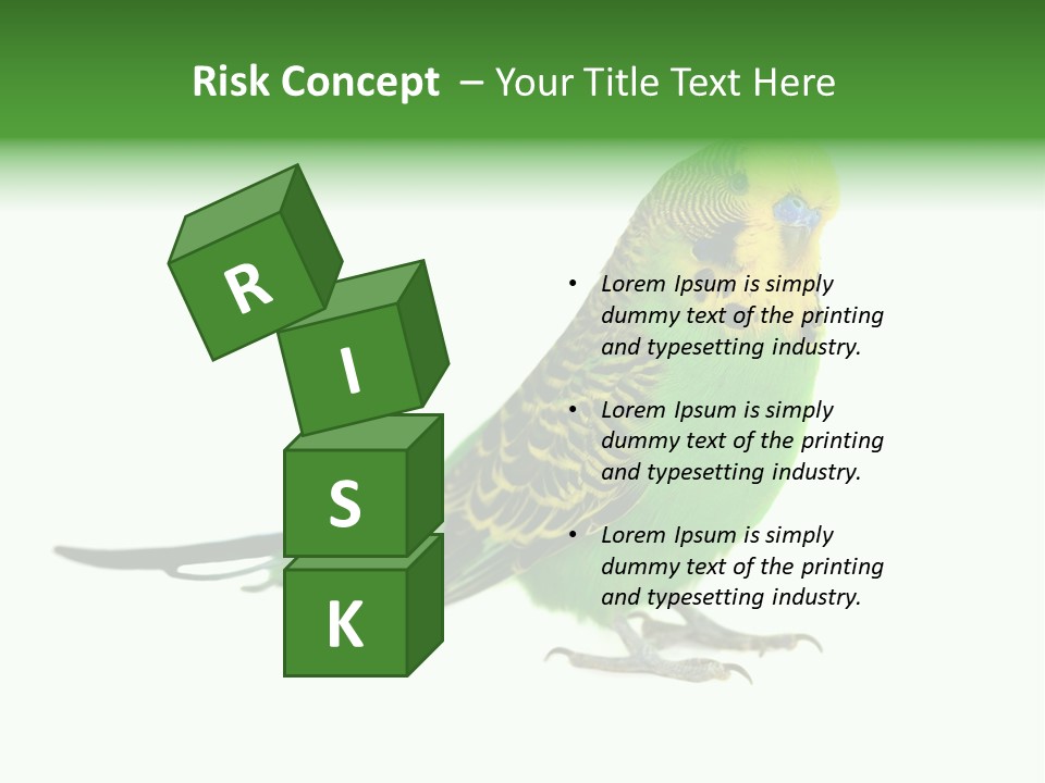 Beak Backgrounds Pets PowerPoint Template