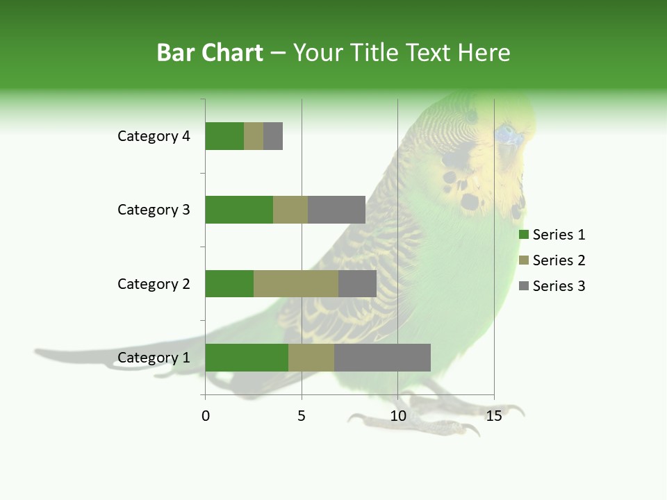 Beak Backgrounds Pets PowerPoint Template