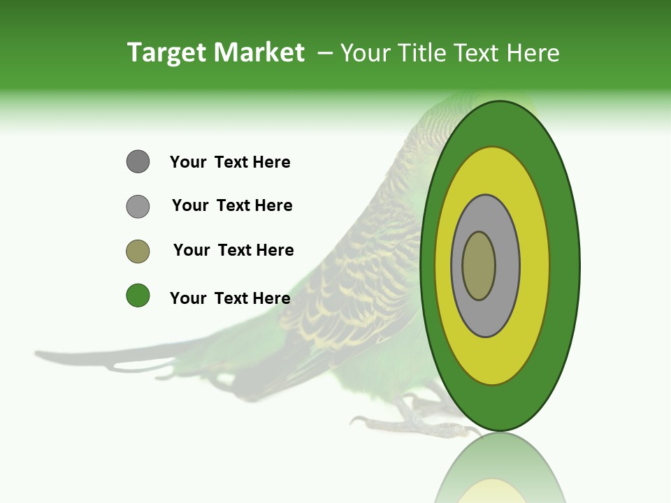 Beak Backgrounds Pets PowerPoint Template