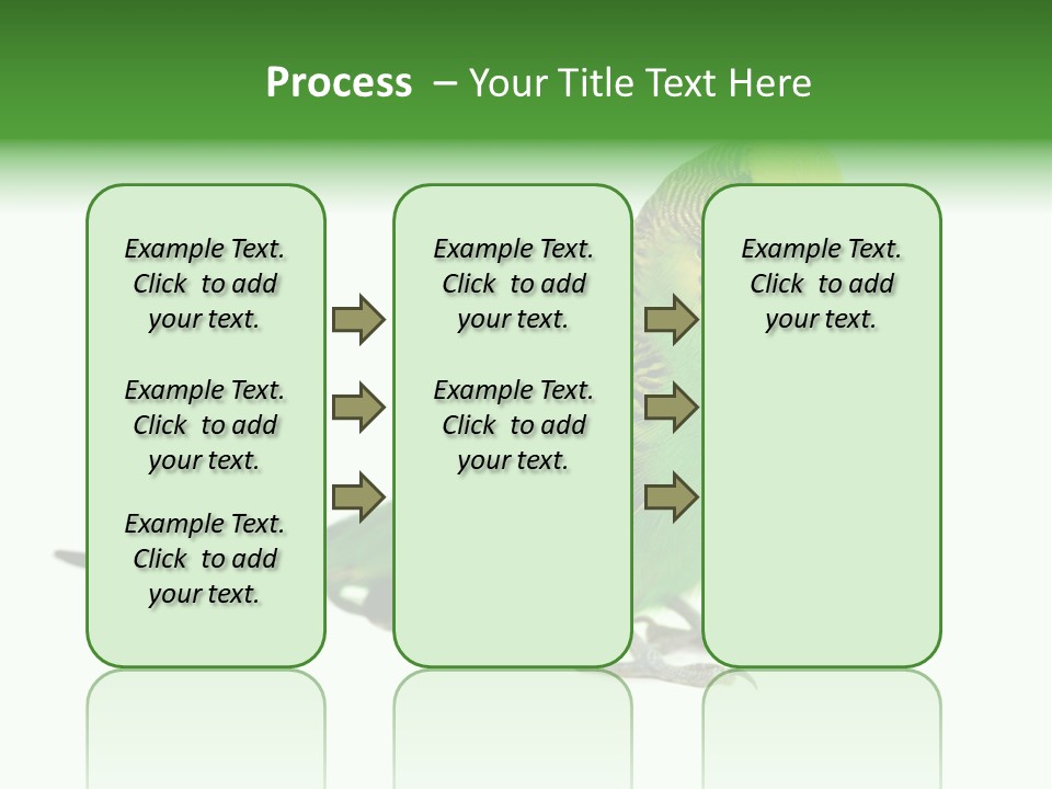 Beak Backgrounds Pets PowerPoint Template
