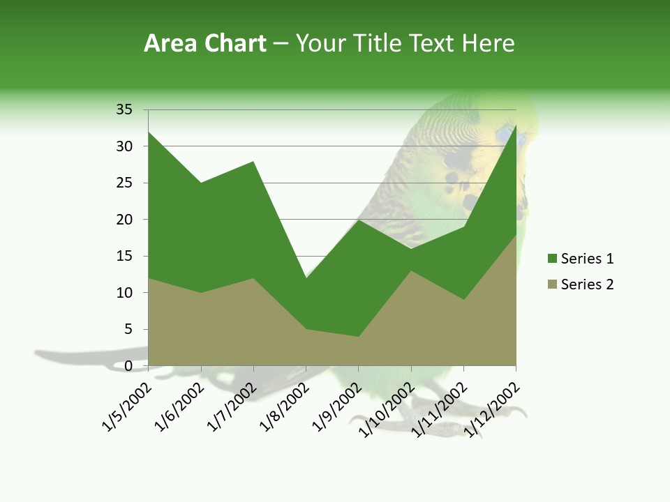 Beak Backgrounds Pets PowerPoint Template